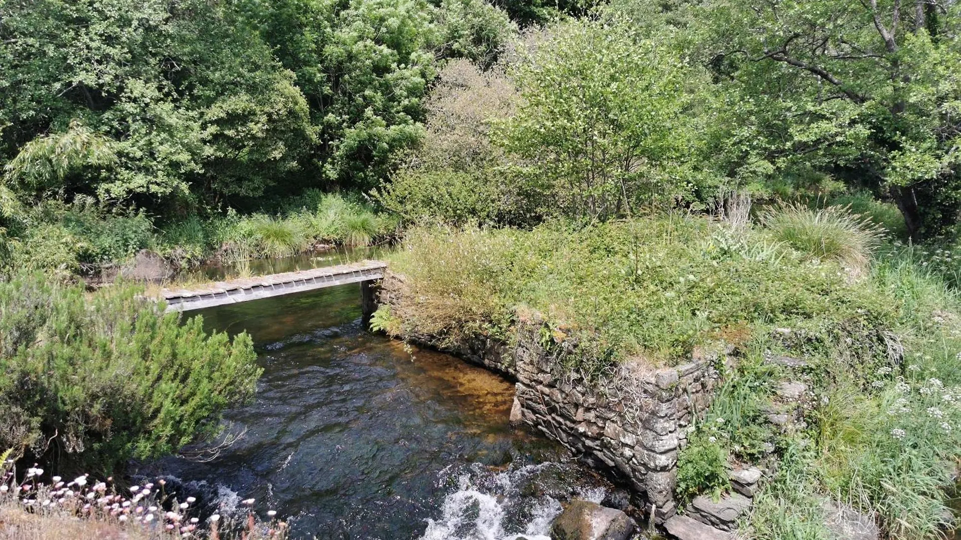 Riec-sur-Bélon Le Moulin Borde Par L'Aven 빌라 0*,